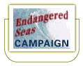 Endangered Seas Campaign